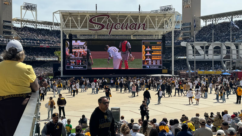 Entertainment Areas Installation Photo