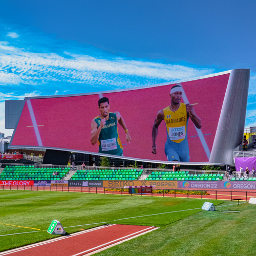 University of Oregon Hayward Field Display Track and Field