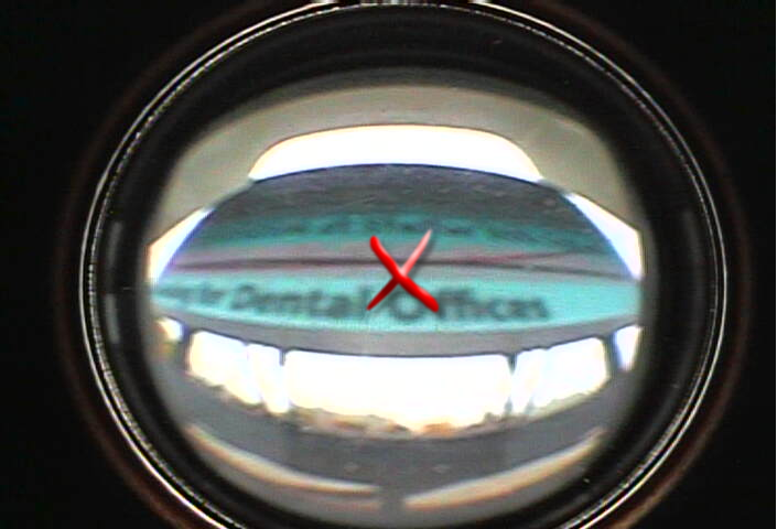 fish eye 1.PNG