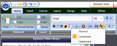 Lower Case Text Capitalization.PNG