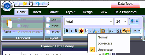 Upper Case Text Capitalization.PNG