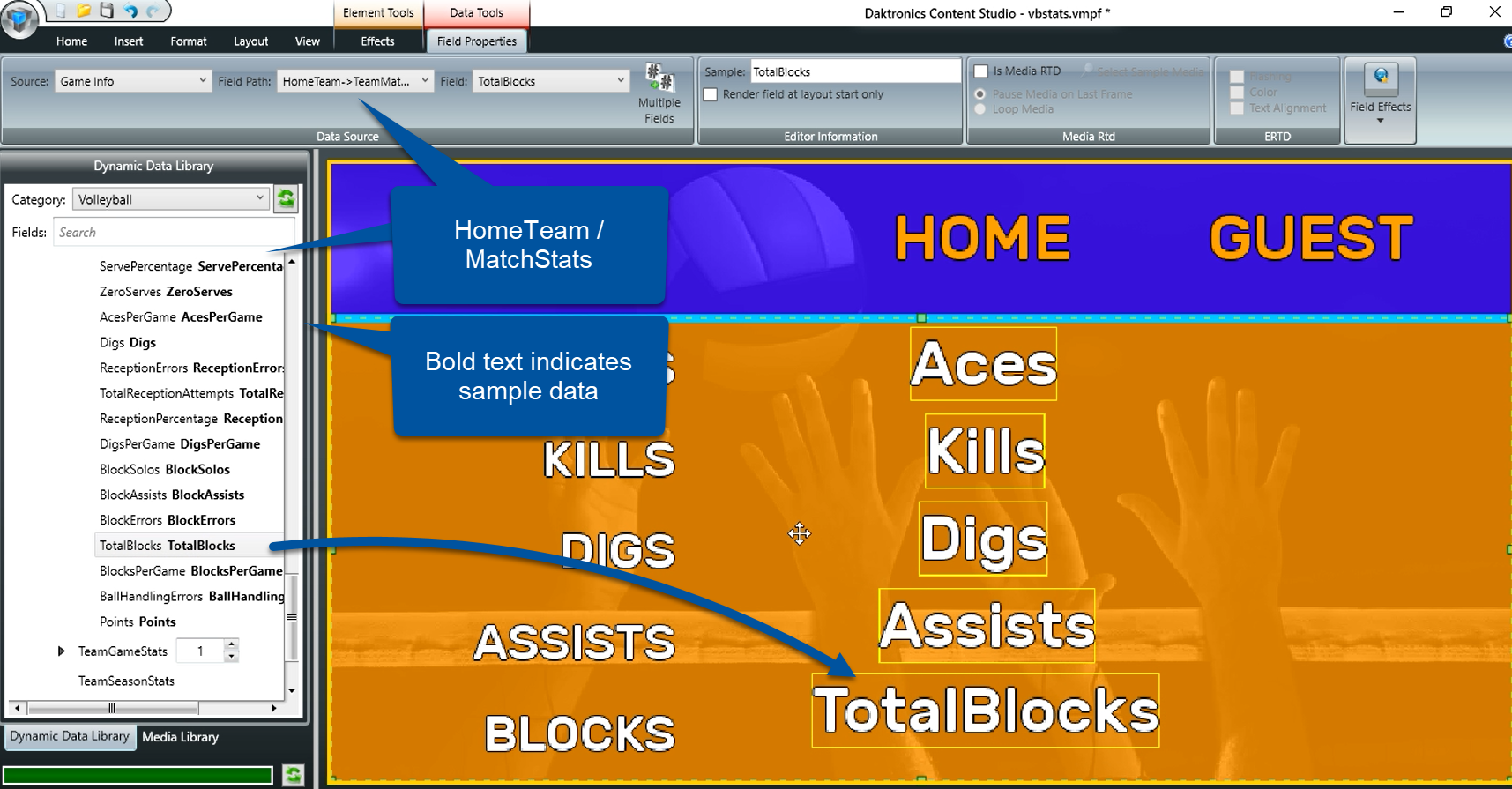 Data Studio NCAA VB_home team player stats1a.png