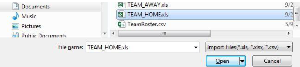 team roster3.png