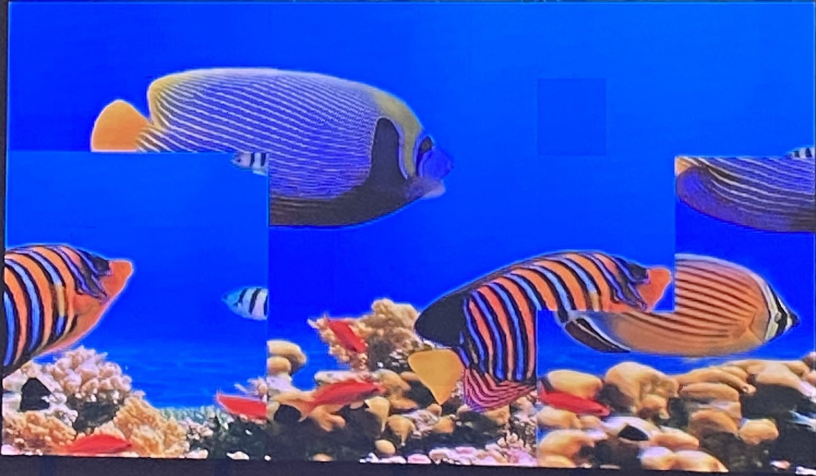 Incorrect pLr connections.jpg